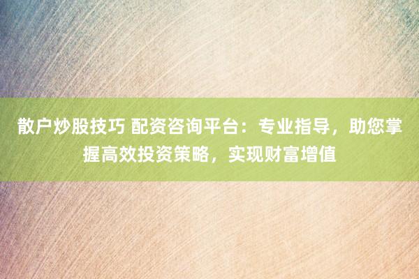 散户炒股技巧 配资咨询平台：专业指导，助您掌握高效投资策略，实现财富增值