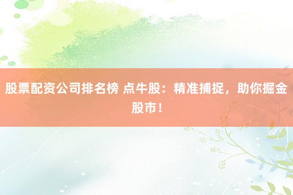股票配资公司排名榜 点牛股：精准捕捉，助你掘金股市！