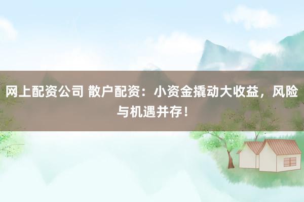 网上配资公司 散户配资：小资金撬动大收益，风险与机遇并存！