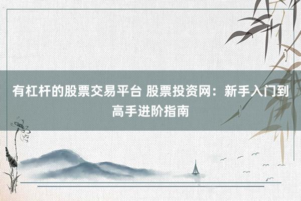 有杠杆的股票交易平台 股票投资网：新手入门到高手进阶指南