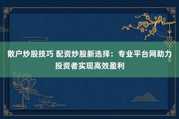 散户炒股技巧 配资炒股新选择：专业平台网助力投资者实现高效盈利