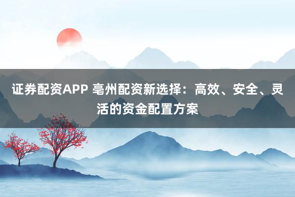 证券配资APP 亳州配资新选择:高效、安全、灵活的资金配置方案