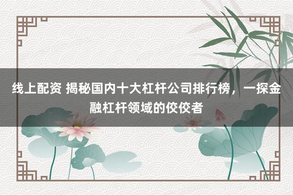 线上配资 揭秘国内十大杠杆公司排行榜,一探金融杠杆领域的佼佼者