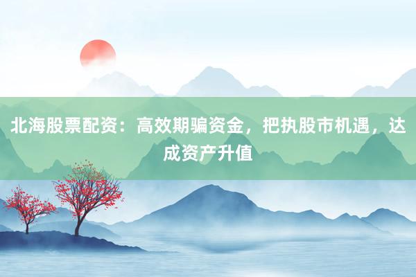 北海股票配资:高效期骗资金,把执股市机遇,达成资产升值