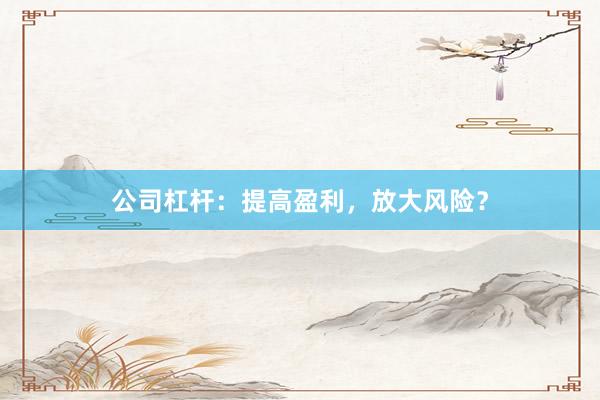 公司杠杆:提高盈利,放大风险?