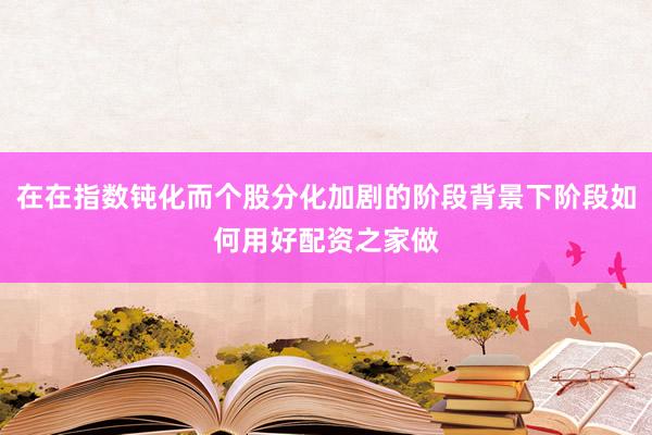 在在指数钝化而个股分化加剧的阶段背景下阶段如何用好配资之家做