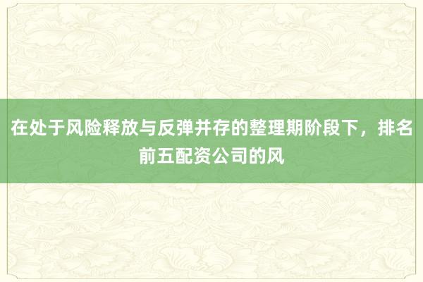 在处于风险释放与反弹并存的整理期阶段下，排名前五配资公司的风
