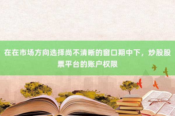 在在市场方向选择尚不清晰的窗口期中下，炒股股票平台的账户权限