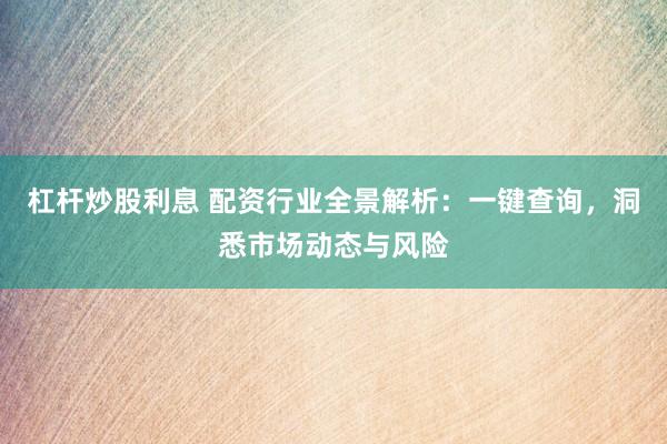杠杆炒股利息 配资行业全景解析：一键查询，洞悉市场动态与风险